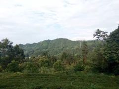 -唐崖土司城遗址