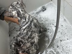 -安安宠医·臻爱宠物医院·宠保定点(营门口路分院)