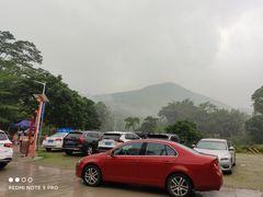 -黄埔油麻山森林公园
