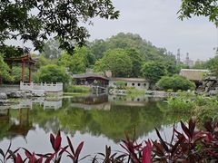 -顺峰山公园