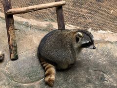 -杭州野生动物世界