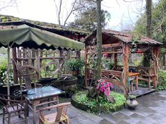 -青城甲(青城山店)