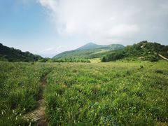 -白草畔自然风景区