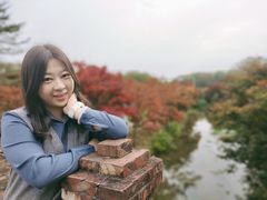 -田野绿世界