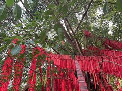 -曼听御花园