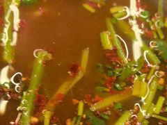 -何师烧烤Pro ·江湖川菜·小龙虾·精酿(太古里旗舰店)