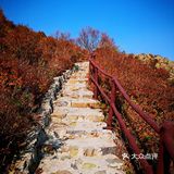 把车开上百花山