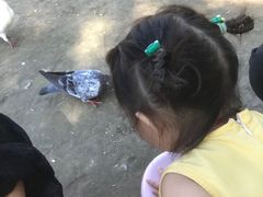 -南通洲际绿博园