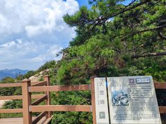 -沂蒙山旅游区云蒙景区(蒙山国家森林公园)