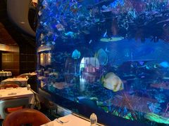 -迪拜帆船酒店海底餐厅