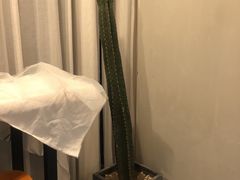 -HALF ORANGE 半个橙子