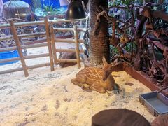-正佳雨林生态植物园