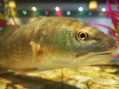 -巽寮印象美食部落餐厅·海鲜·地方特色菜(惠州体验店)