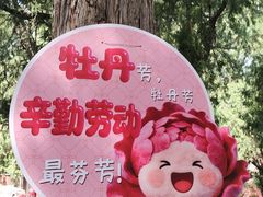 -北京市劳动人民文化宫(太庙)