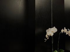 -成都博舍酒店