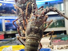 -东江海鲜大排档·潮汕菜·砂锅粥