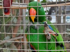 -大连森林动物园