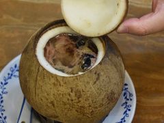 原只椰子炖竹丝鸡-達揚原味燉品(文明路店)