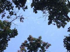 iphone_upload_pic-湖南省立第一师范学校旧址