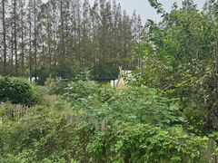 -前小桔亲子创意农场·草莓采摘·露营烧烤