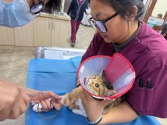 -美联众合动物医院·24h转诊中心