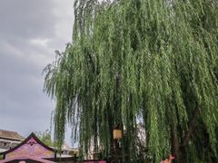 -济南方特东方神画