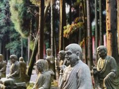 -武陵山森林公园