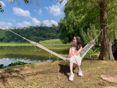 -南宁良凤江国家森林公园