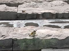 -外滩悦榕庄·海怡西餐厅