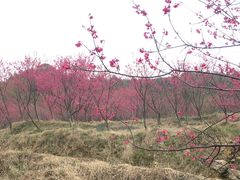 -福清灵石山国家森林公园