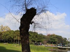 -东山湖公园