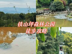 -铁山坪森林公园