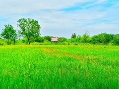 -长兴太湖图影湿地文化园