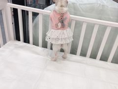-萌宠之家·腊肠犬·马尔泰·小体犬舍