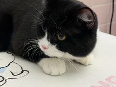 -FAELING PETS美天灵宠物(富力广场店)