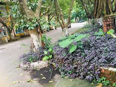 -广州市紫泥堂文化创意园景区