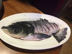 -红牌美蛙鱼头火锅(万辉国际广场店)