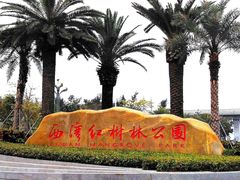 -宝安西湾红树林湿地公园