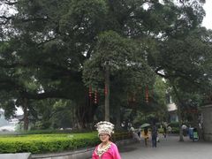 -桂林两江四湖景区
