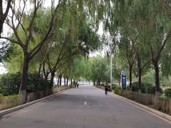 -丁香湖公园