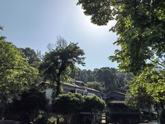 -龙井村