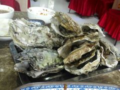 海蛎子-牛叔鲜羊肉铜火锅(远东小区店)