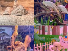 -正佳雨林生态植物园