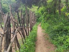 -高尔山公园