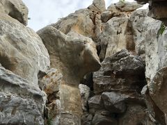 -中国银行江苏省分行培训中心