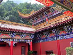 -东莞市大岭山森林公园