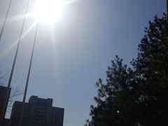 -京氣春饼(机场店)