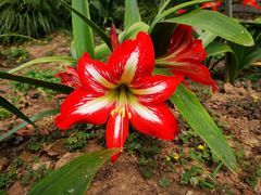 -白塘生态植物园