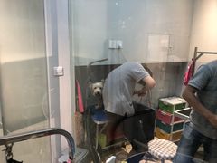 -PETKIT 小佩宠物·低压洗护·美容·寄养(安远店)