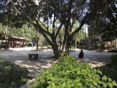-光明港公园